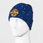 Target Men's Space Jam Embroidered Cuff Knit Beanie - Blue