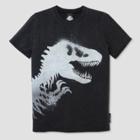 Boys' Jurassic World Short Sleeve T-shirt - Charcoal