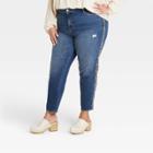 Women's Plus Size Mid-rise Straight Leg Embroidered Jeans - Knox Rose Dark Wash