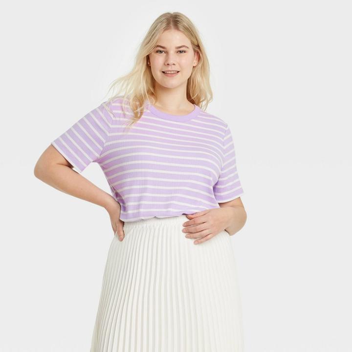 Women's Plus Size Striped Short Sleeve Rib T-shirt - A New Day Purple