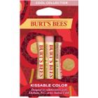 Burt's Bees Kissable Color Lip Kit - Cool Collection