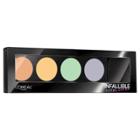 L'oreal Paris Infallible Concealer 225 Color Correcting Palette .17 Fl Oz