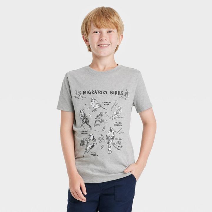 Boys' Migratory Birds Short Sleeve Graphic T-shirt - Cat & Jack Heather Gray