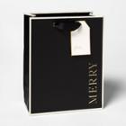 Black With Gold Merry Cub Gift Bag - Sugar Paper , Gold Black