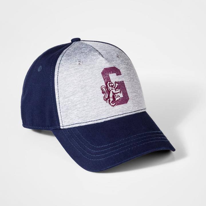 Harry Potter Boys' Gryffindor Baseball Hat - Navy/gray (blue/gray)