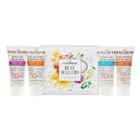 Curlsmith Curl Styler Hero Introduction Kit - 12oz/4pc - Ulta Beauty
