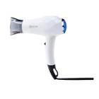 Instyler Blu Mini Hair Dryer, White