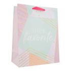 Spritz You're My Favorite Gift Bag -