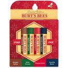 Burt's Bees Moisturizing