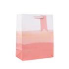Spritz Cub Bag With Glitter And Tag Coral -