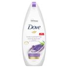 Dove Relaxing Lavender Body Wash