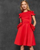 Ted Baker Ruffle Detail Dress