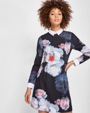 Ted Baker Chelsea Flower Collar Dress