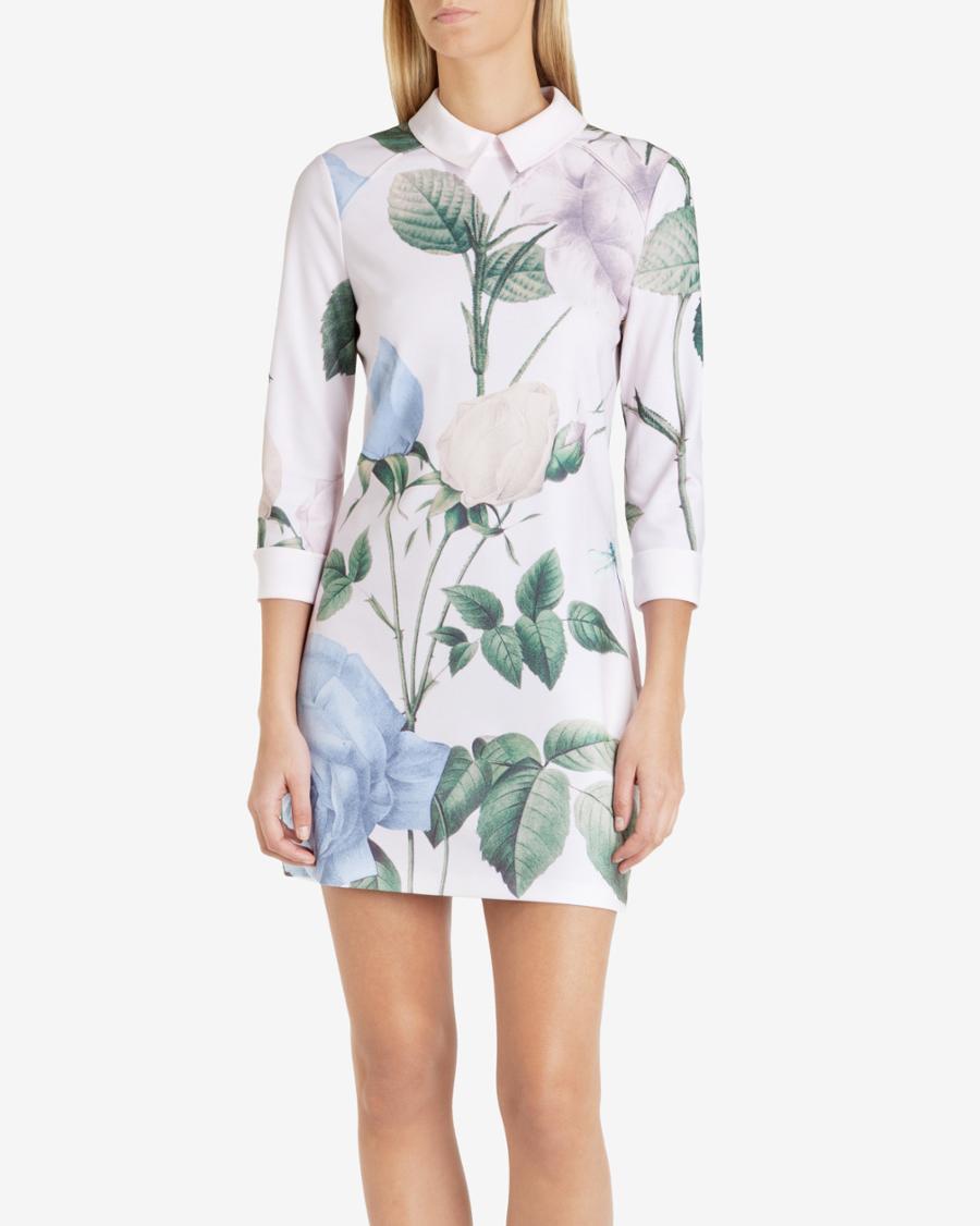 Ted Baker Distinguishing Rose Collared Dress LookMazing