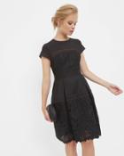 Ted Baker Layered Lace Dress