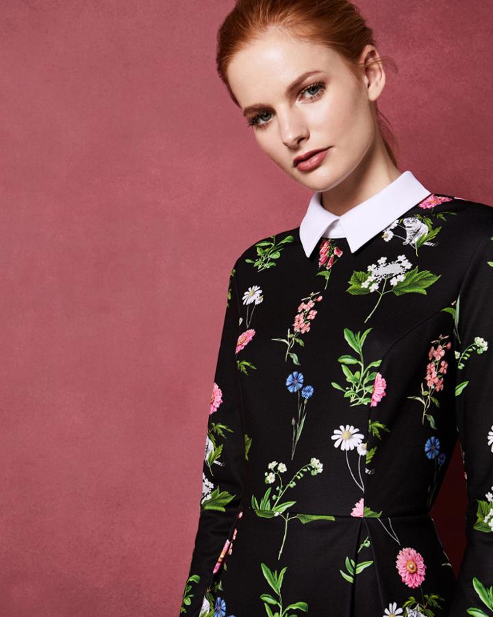 Ted Baker Florence Print Collar Dress