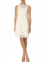 The Limited Lace Sheath Dress