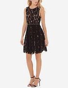 The Limited Eva Longoria Lacey Fit And Flare Dress