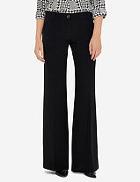 The Limited Wide Leg Flare Pants