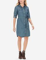 The Limited Chambray Ashton Button Down Dress