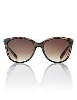 The Limited Leopard Print Cat Eye Sunglasses