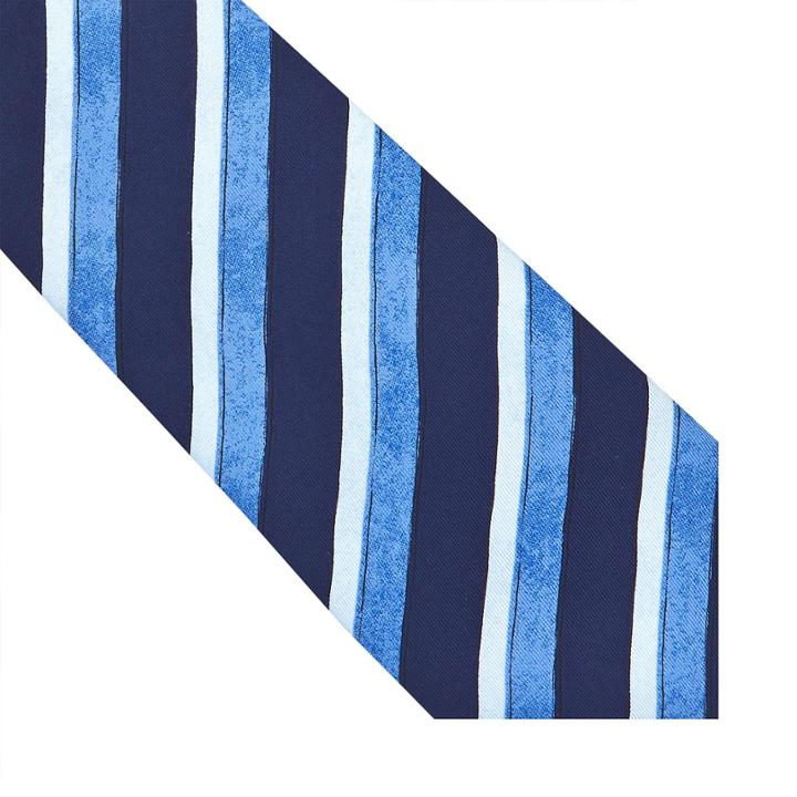Thomas Pink Handpainted Stripe Printed Tie Blue/blue