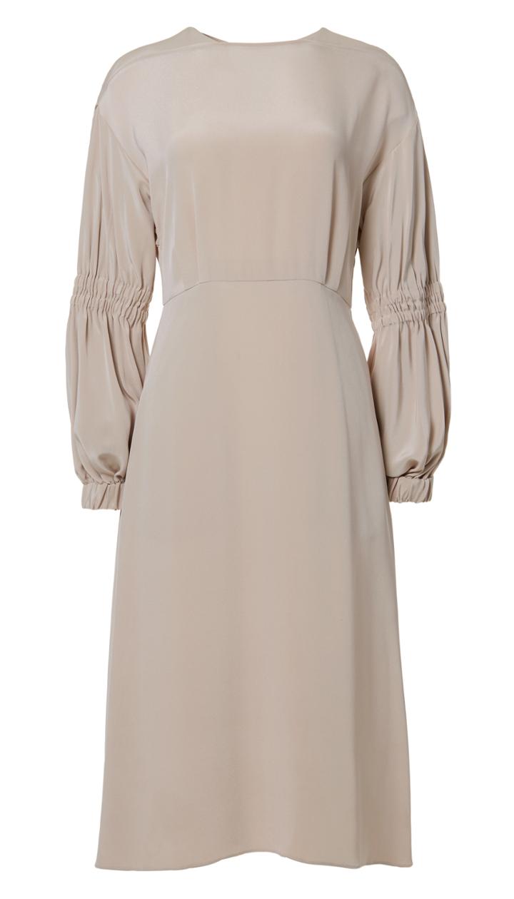 Silk Balloon Sleeve Dress