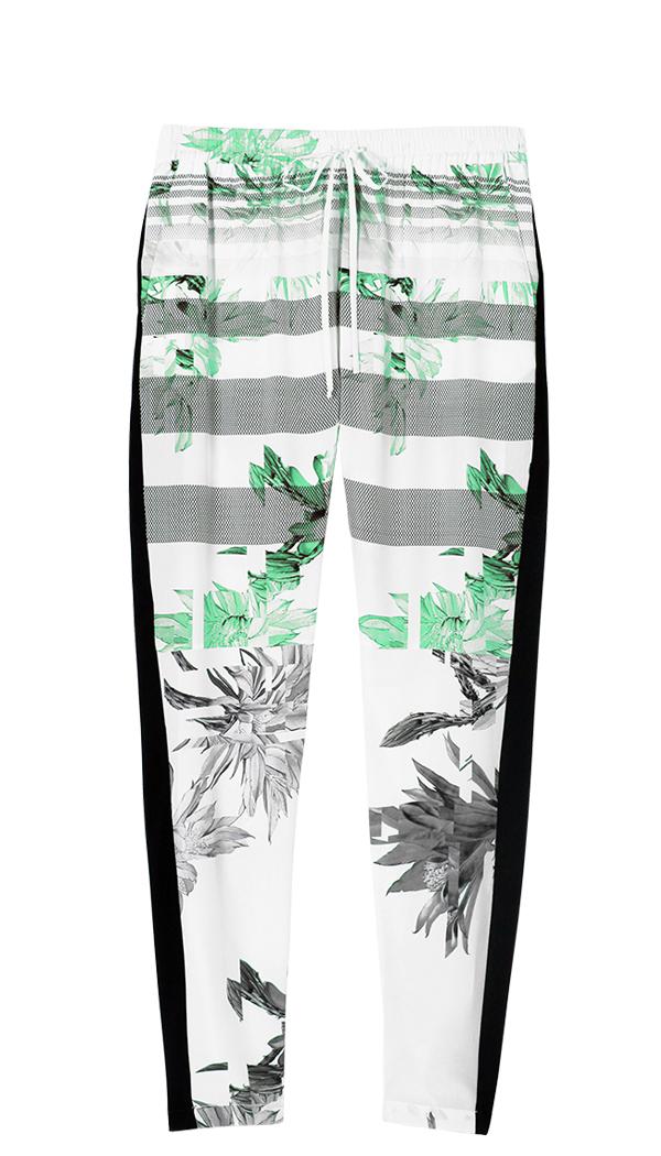 Sierra Track Pant
