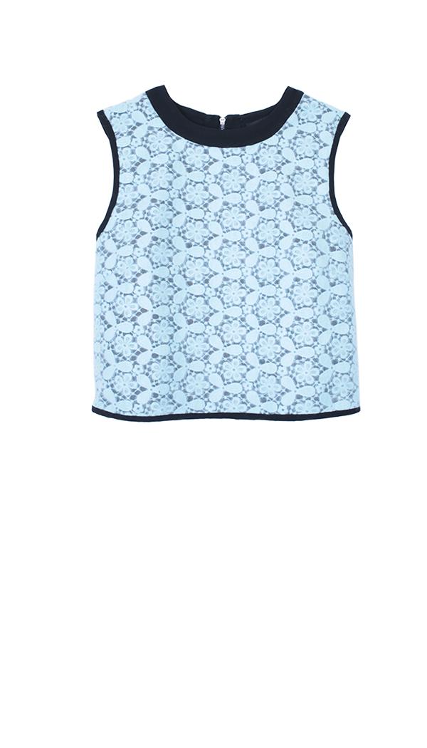 Embroidery Lace Top