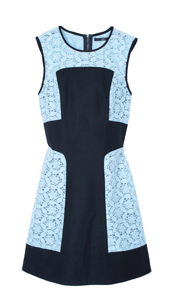 Embroidery Lace Paneled Dress