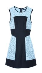 Embroidery Lace Paneled Dress