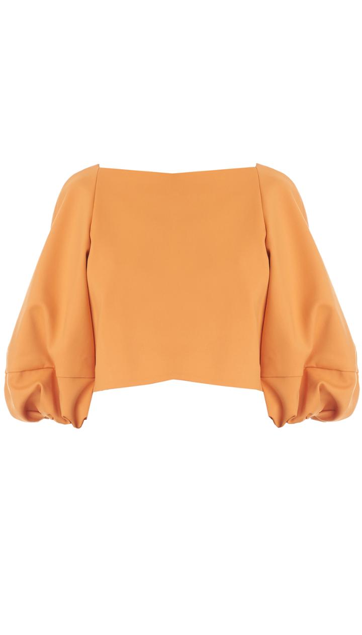 Agathe Bell Sleeve Crop Top