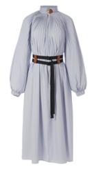 Isabelle Shirting Edwardian Dress With Removable Belt