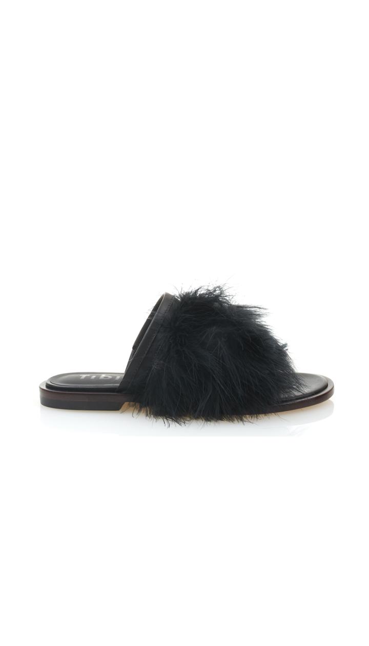 Jack Feather Slides