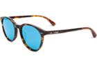 Toms Toms Bellini Whiskey Tortoise Zeiss Polarized Sunglasses With Black Diamond Mirror Lens