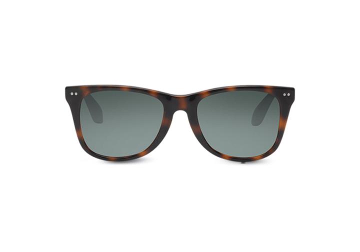 Toms Windward Tortoise