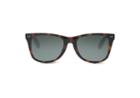 Toms Windward Tortoise