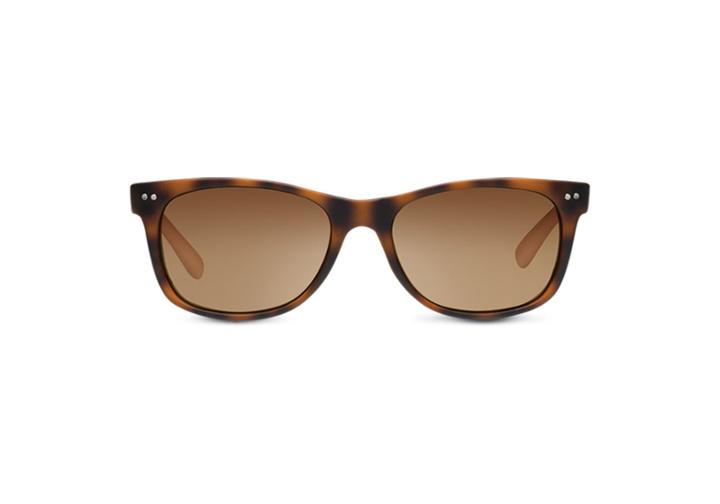 Toms Toms Beachmaster Matte Tortoise Polarized Sunglasses With Solid Brown Lens