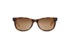 Toms Toms Beachmaster Matte Tortoise Polarized Sunglasses With Solid Brown Lens