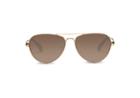 Toms Toms Maverick 201 Combo Gold Polarized Sunglasses With Solid Brown Lens