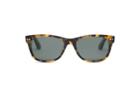 Toms Toms Beachmaster 201 Blonde Tortoise Walnut Sunglasses With Green Grey Lens
