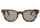 Toms Toms Archie Amber Tortoise Sunglasses With Green Grey Lens