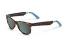 Toms Toms Beachmaster Tortoise Sunglasses With Green Grey Lens