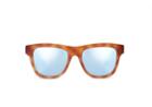 Toms Traveler By Toms Dalston Matte Honey Tortoise Sunglasses With Blue Mirror Lens
