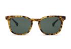 Toms Toms Noah Blonde Tortoise Polarized Sunglasses With Green Grey Lens