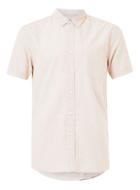 Topman Mens Brown Stone And White Short Sleeve Oxford Shirt