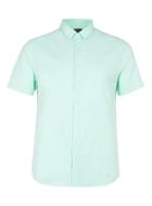 Topman Mens Green And White Stripe Short Sleeve Dress Shirt