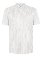 Topman Mens Grey Gray Bengal Stripe Short Sleeve Dress Shirt