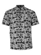 Topman Mens Grey Gray Cheetah Print Short Sleeve Casual Shirt