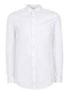 Topman Mens White Egyptian Cotton Chisel Collar Dress Shirt